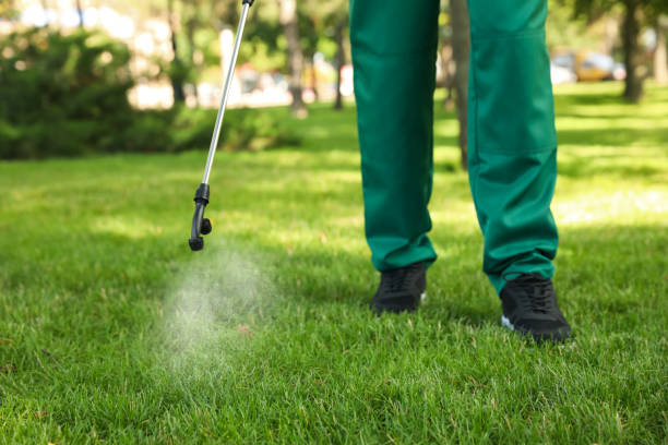 Best Pest Removal Services  in Cold Spring, KY