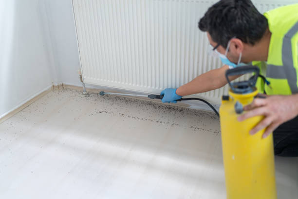 Best Local Pest Control Services  in Cold Spring, KY